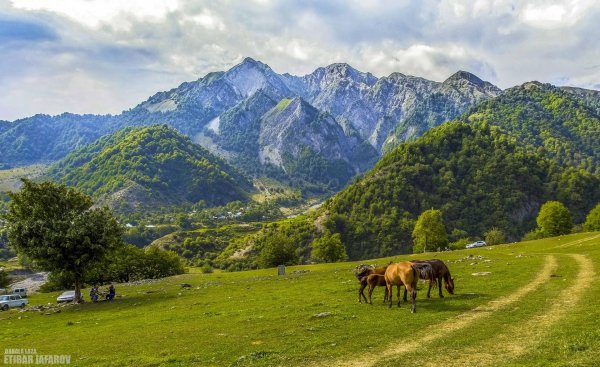 абхазия альпийские луга