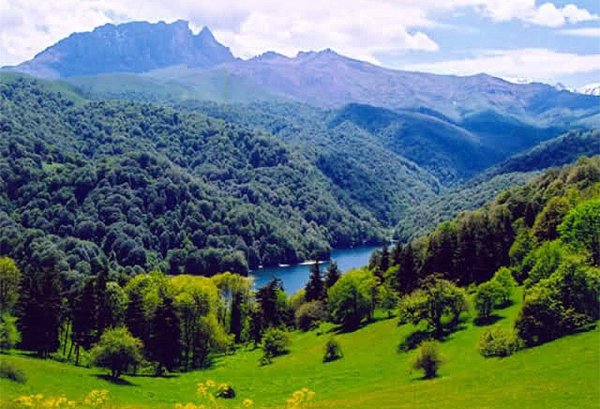 флора и фауна южной осетии