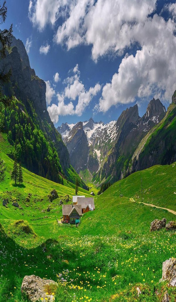 альпы швейцария зелень