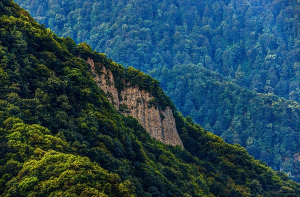 леса азербайджана