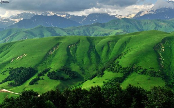 green hills зеленые холмы