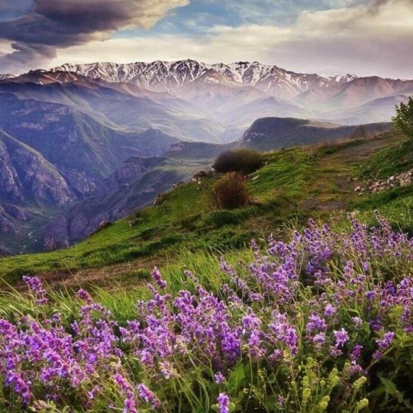 горы дагестана махачкала