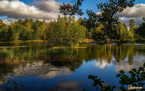 город ломоносов красный пруд