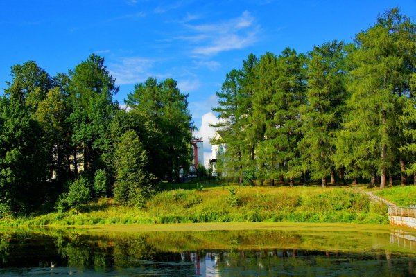 павловск пейзажный парк