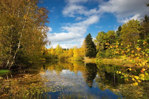 золотая осень мещеры