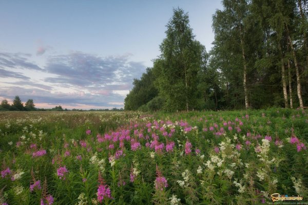 заповедный луг рязань