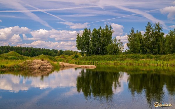 летние пейзажи