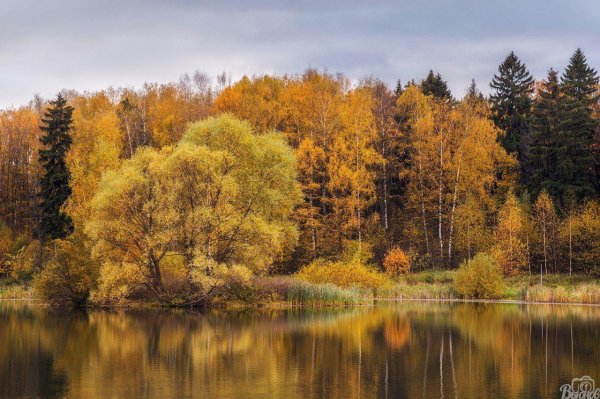 покровское стрешнево парк