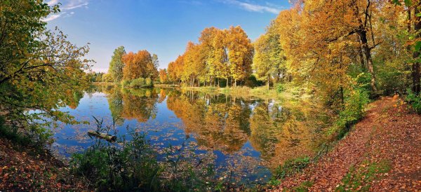 осенние пейзажи