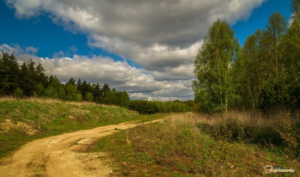 сельская проселочная дорога