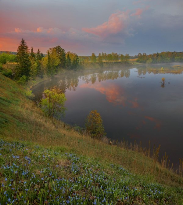 река волгуша дмитровский