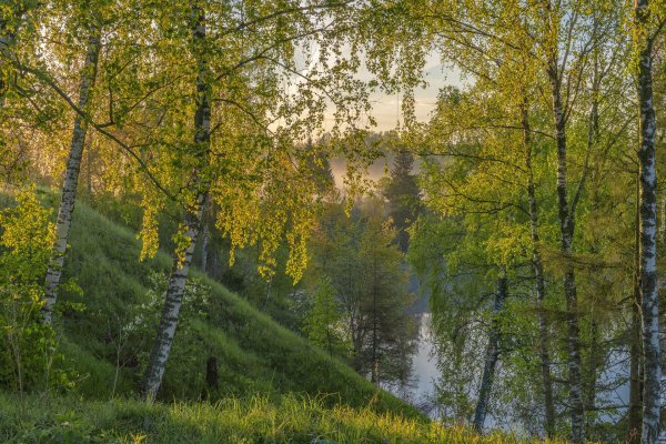 Природа подмосковья