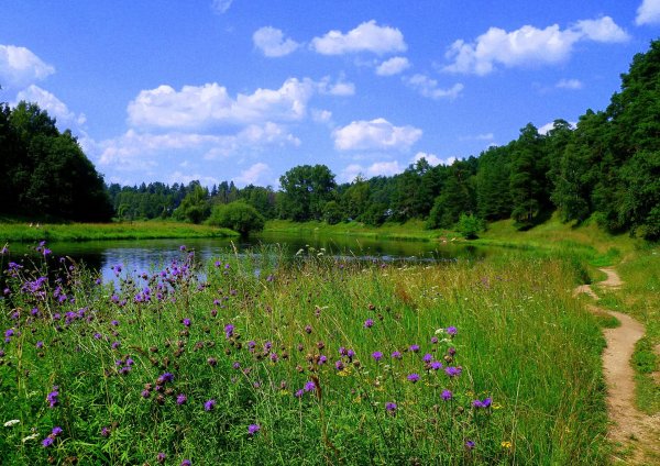 Природа подмосковья