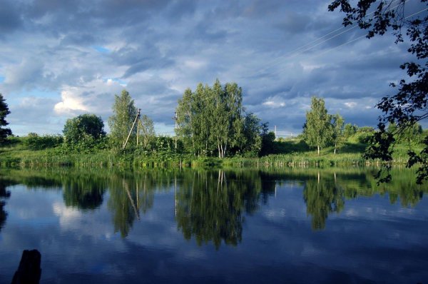 Природа подмосковья