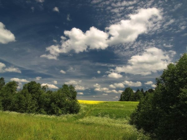 лето пейзаж