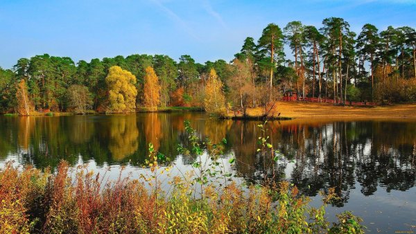 заповедник серебряный бор москва