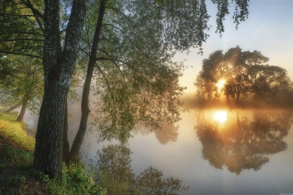 солнечное туманное утро