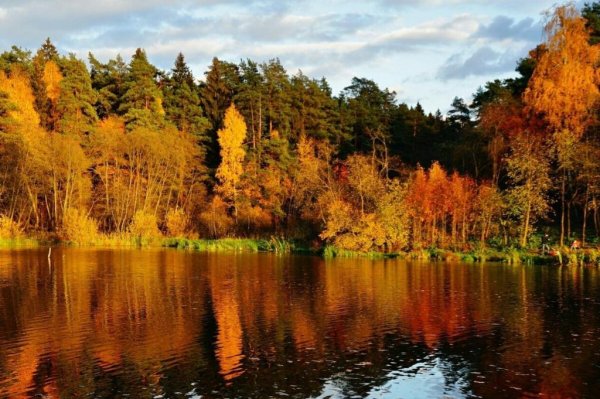 осенние пейзажи