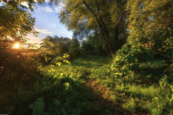 солнечные пейзажи