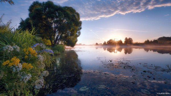 утро на реке
