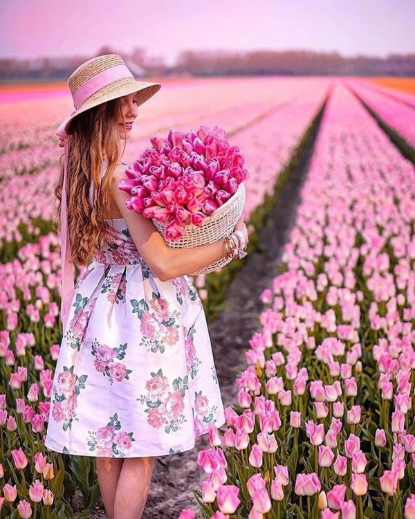 тюльпановое поле