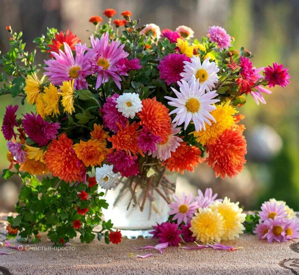 осенние цветы