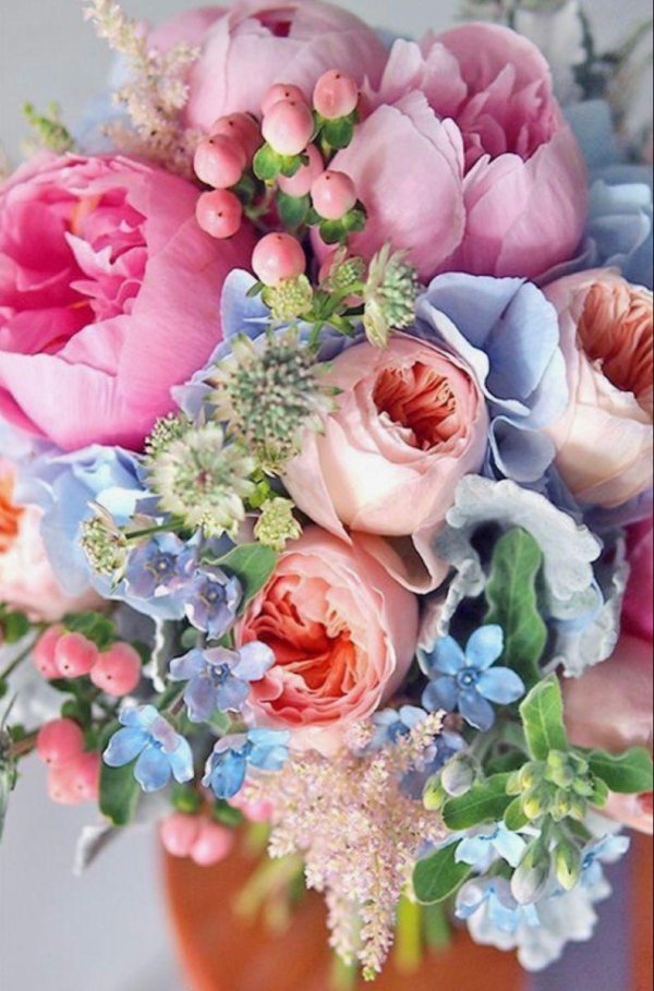 анемоны пионы ранункулюсы