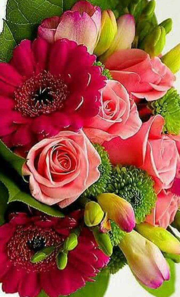 красивая букет