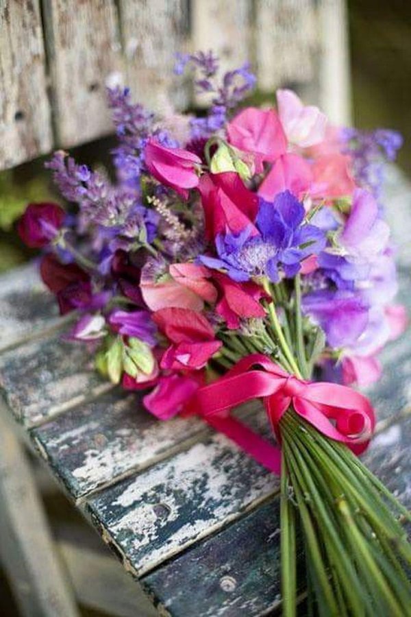 душистый горошек цветок