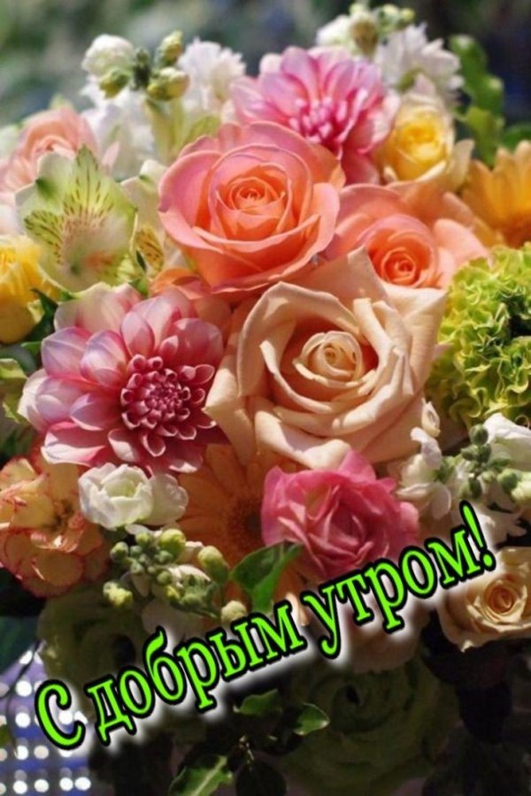 цветочные букеты