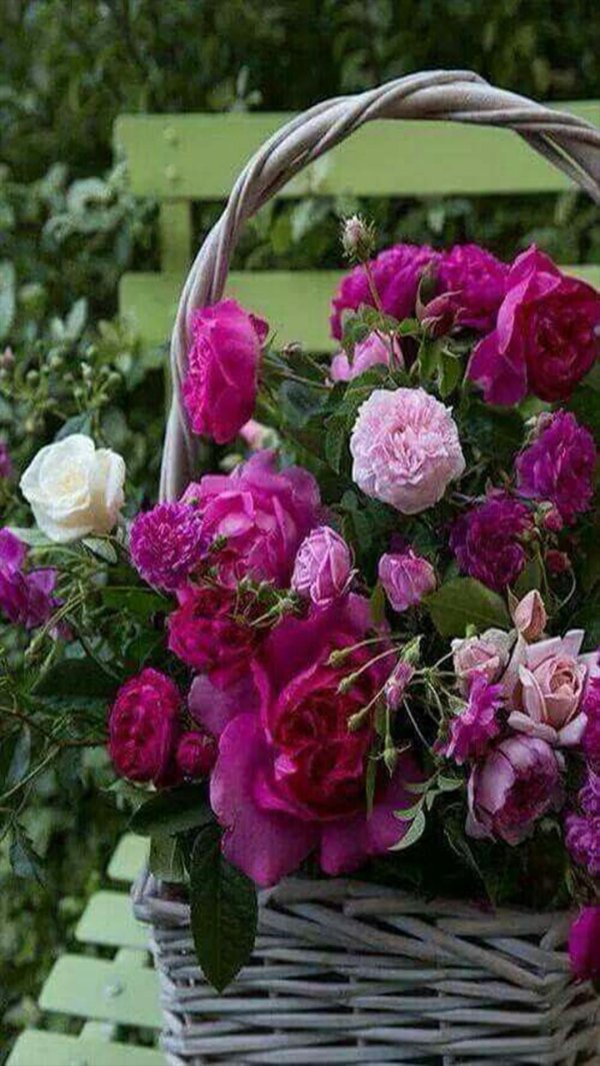 цветочные букеты