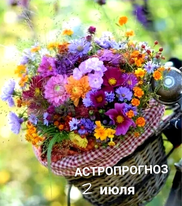 августовское утро