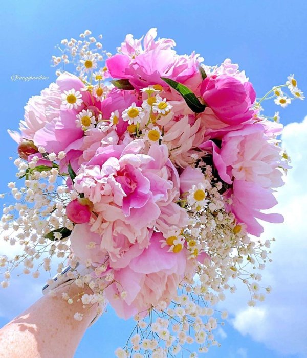 цветочные букеты