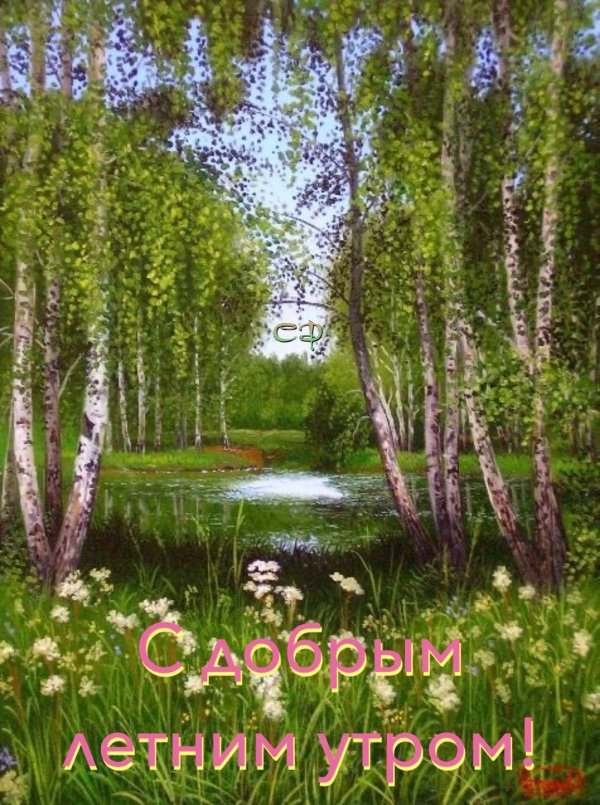 пейзажи с березами