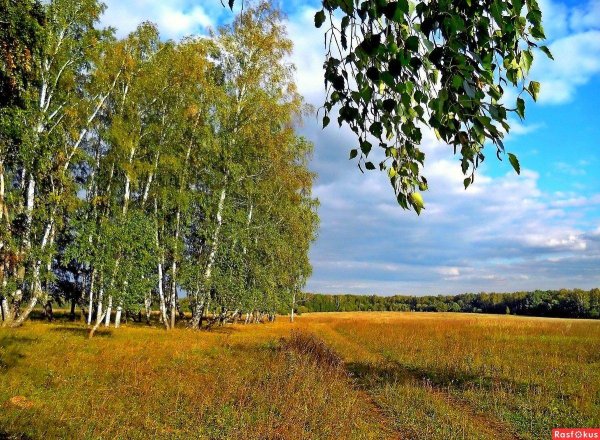 федор тютчев есть в осени первоначальной