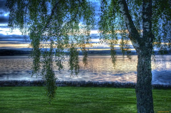 озеро березки самара