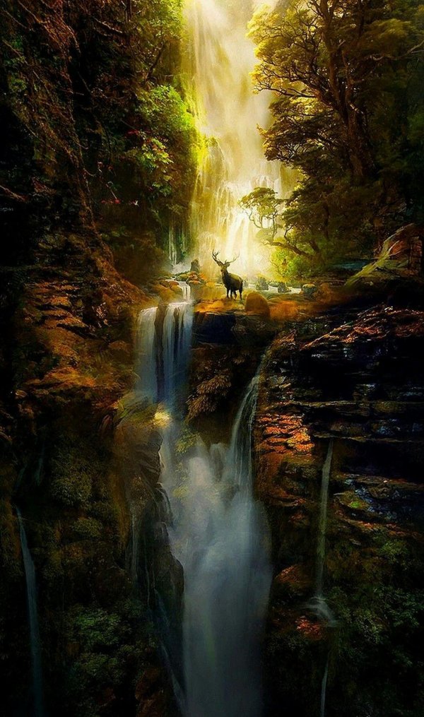 картины томаса аколе водопады