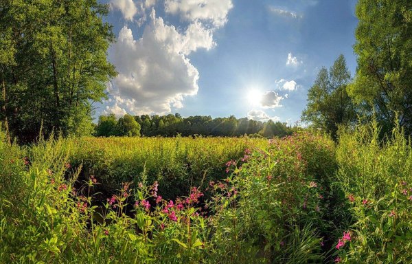 лето россия