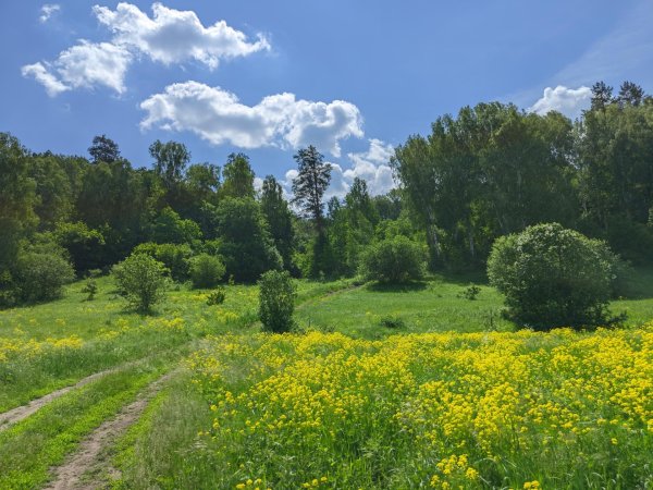 природа май