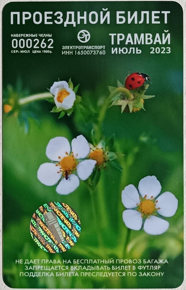 куст клубники