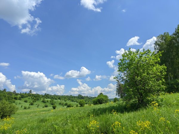 родные просторы пушгоры панорама