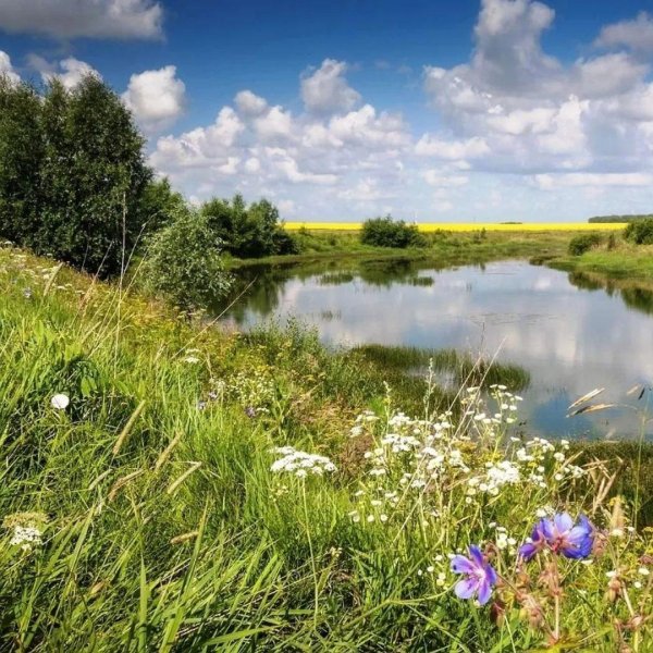 луга марий эл