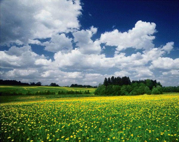 Июнь природа