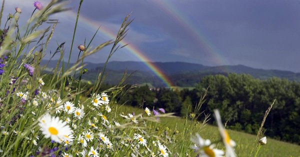красивое лето