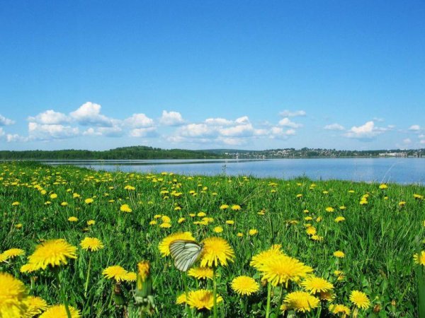 июнь начало лета