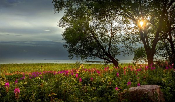 летнего вечера