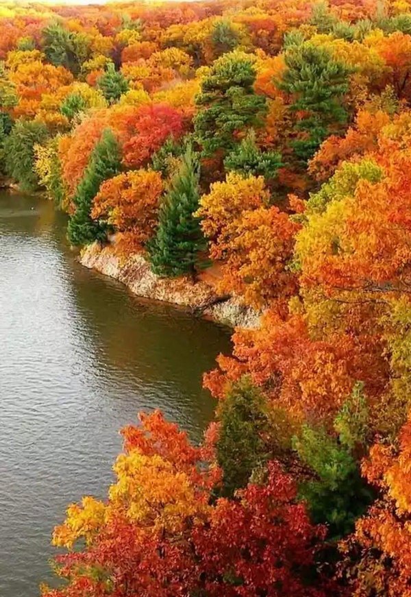 осенние пейзажи