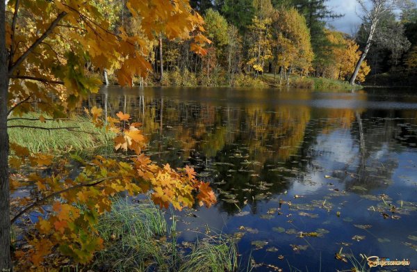 сентябрьский пейзаж