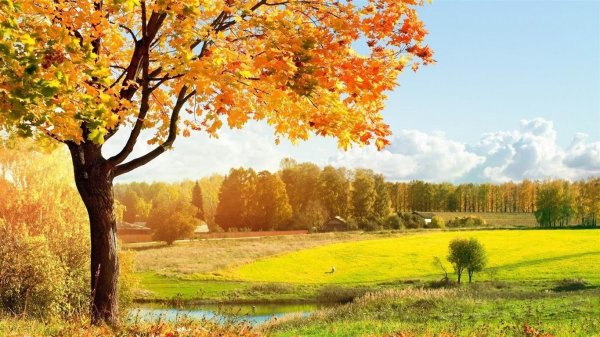 осени пейзаж