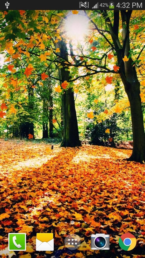 природа осени